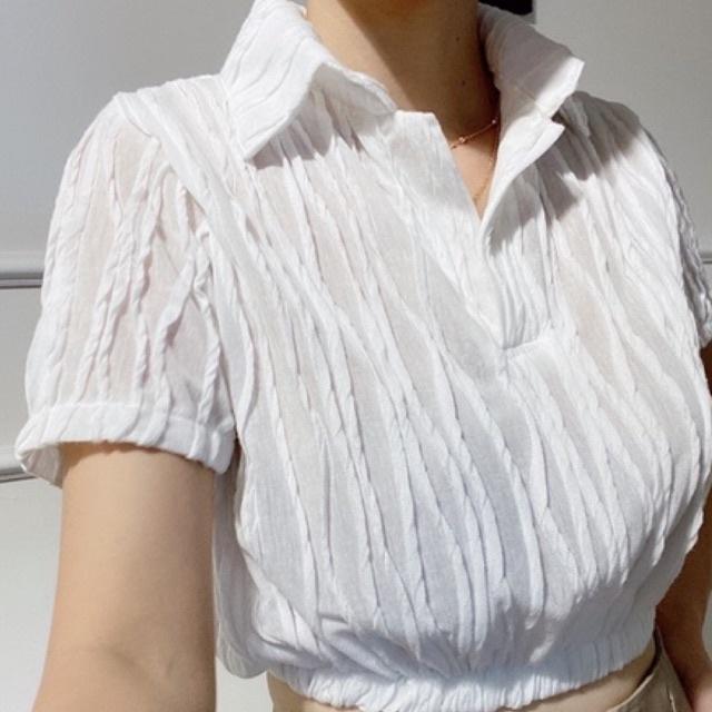 Áo thun lưới croptop xẻ trụ trắng đen- AUDREY STUDIO