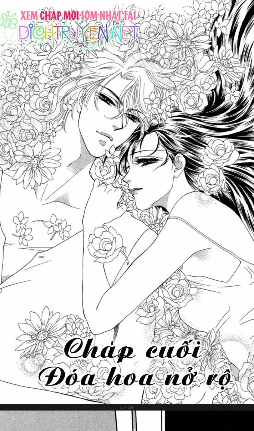 đóa hồng dành tặng seri chapter 20 1