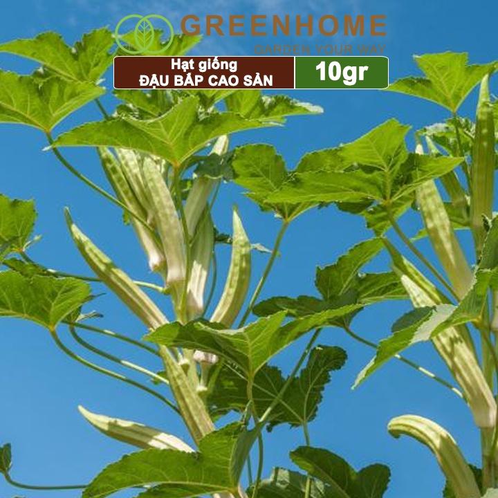 Hạt Giống Đậu Bắp Greenhome, Gói 10gr, Dễ Trồng Quanh Năm, Nảy Mầm Cao, Thu Hoạch Nhanh, Năng Suất Cao T06