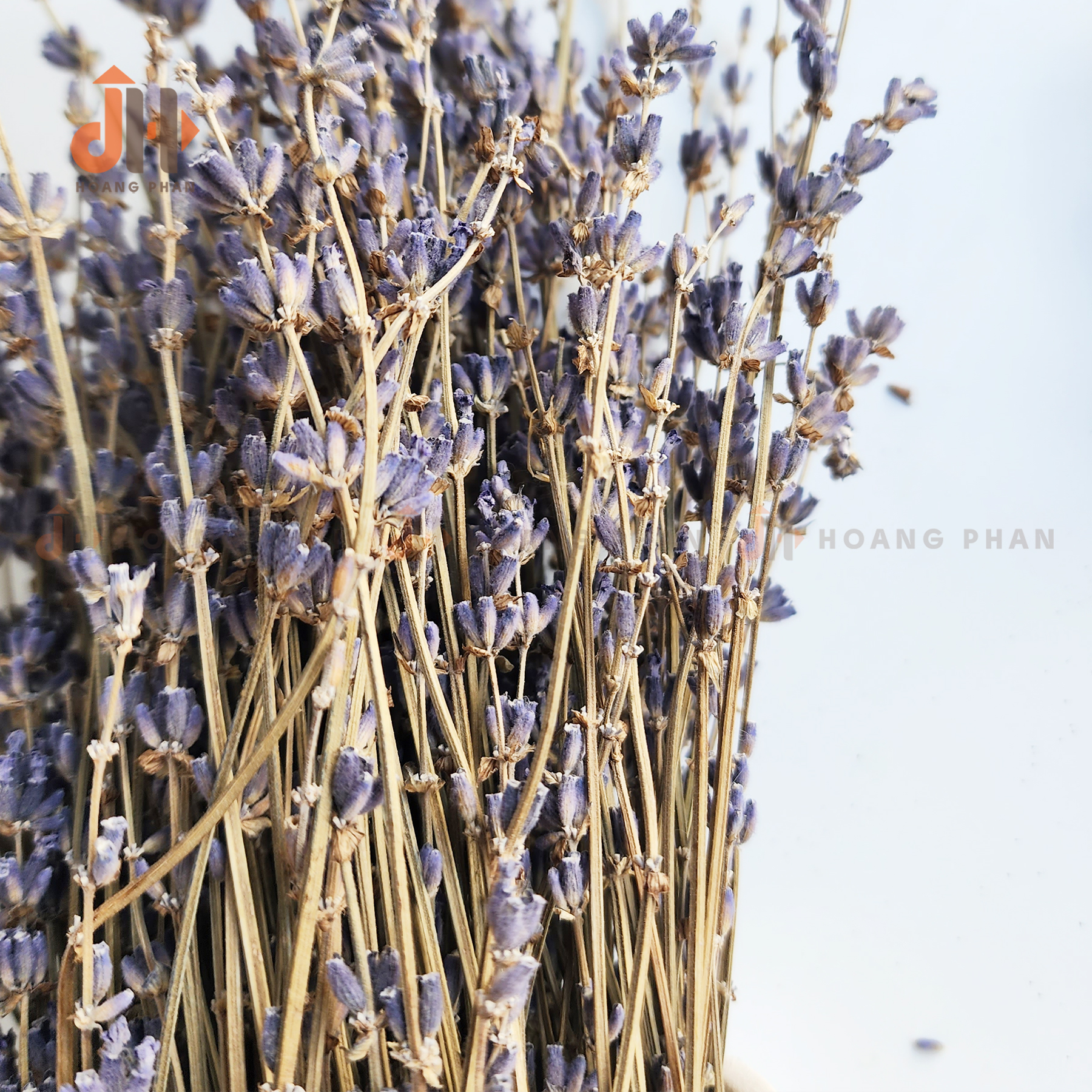 Set bình gốm trắng mộc phối hoa Lavender khô
