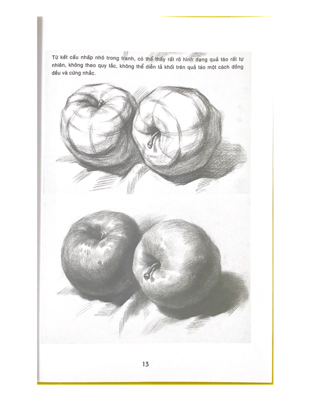 Bí Quyết Hội Hoa - Phác Họa Tĩnh Vật - Vanlangbooks