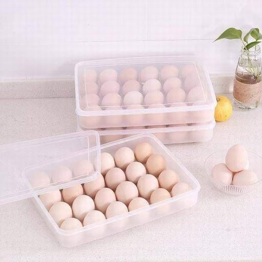 Hộp đựng trứng 24 quả có nắp đậy nhựa Việt Nhật  Khay bảo quản trứng không bị vỡ chắc chắn (6786)
