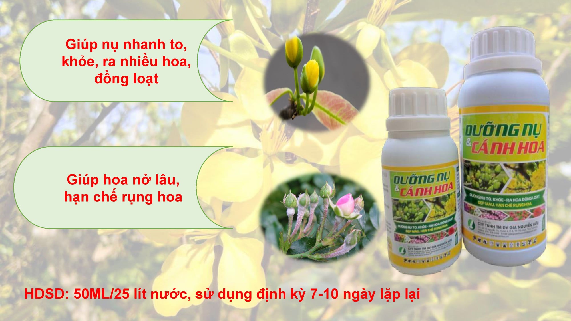 DƯỠNG NỤ CÁCNH HOA CHUYÊN MAI 250ML