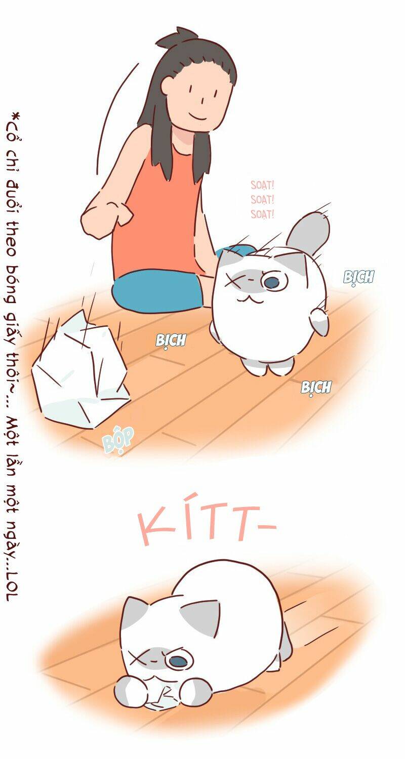 saphie: chú mèo một mắt chapter 27 4