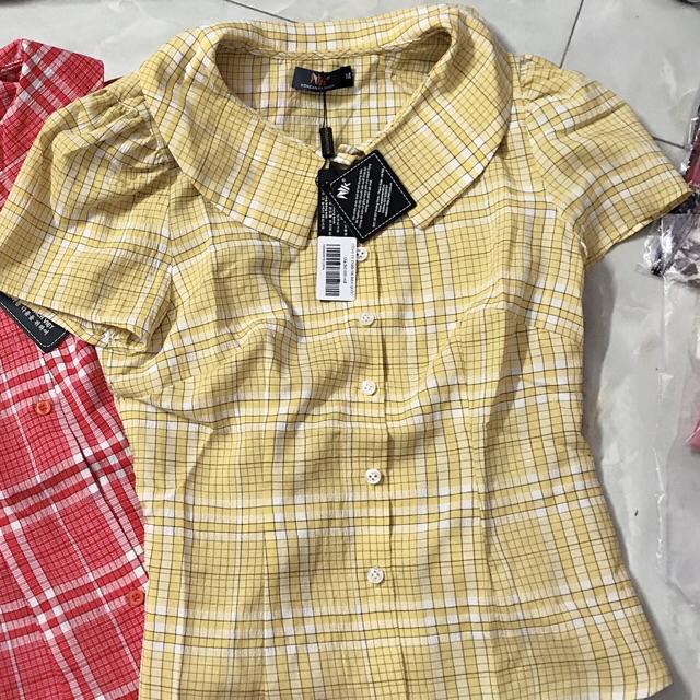 Áo sơ mi kẻ cổ sen 2 màu hàng cao cấp