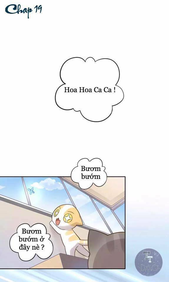 thị hoang chi thần chapter 19 1