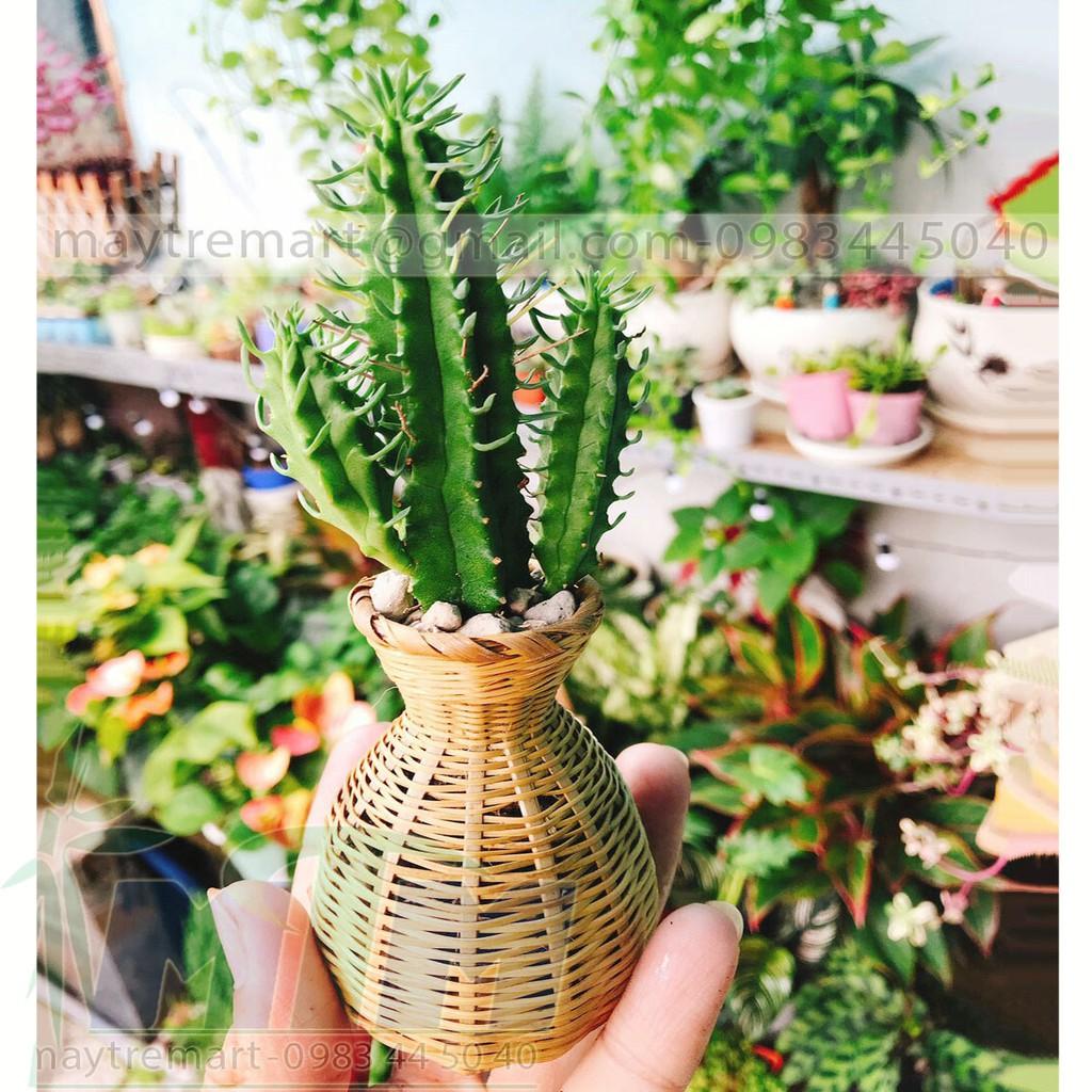 Giỏ Mây tre, cái đục nhí - Phụ kiện trang trí, chụp hình