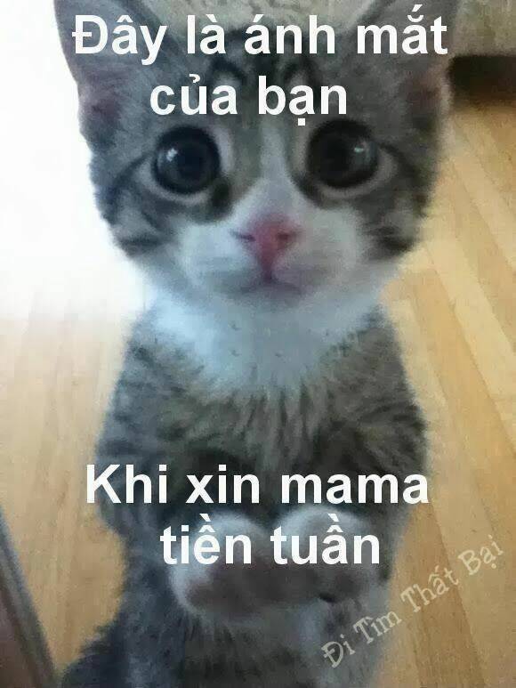 hình ảnh hài hước new chapter 27 9