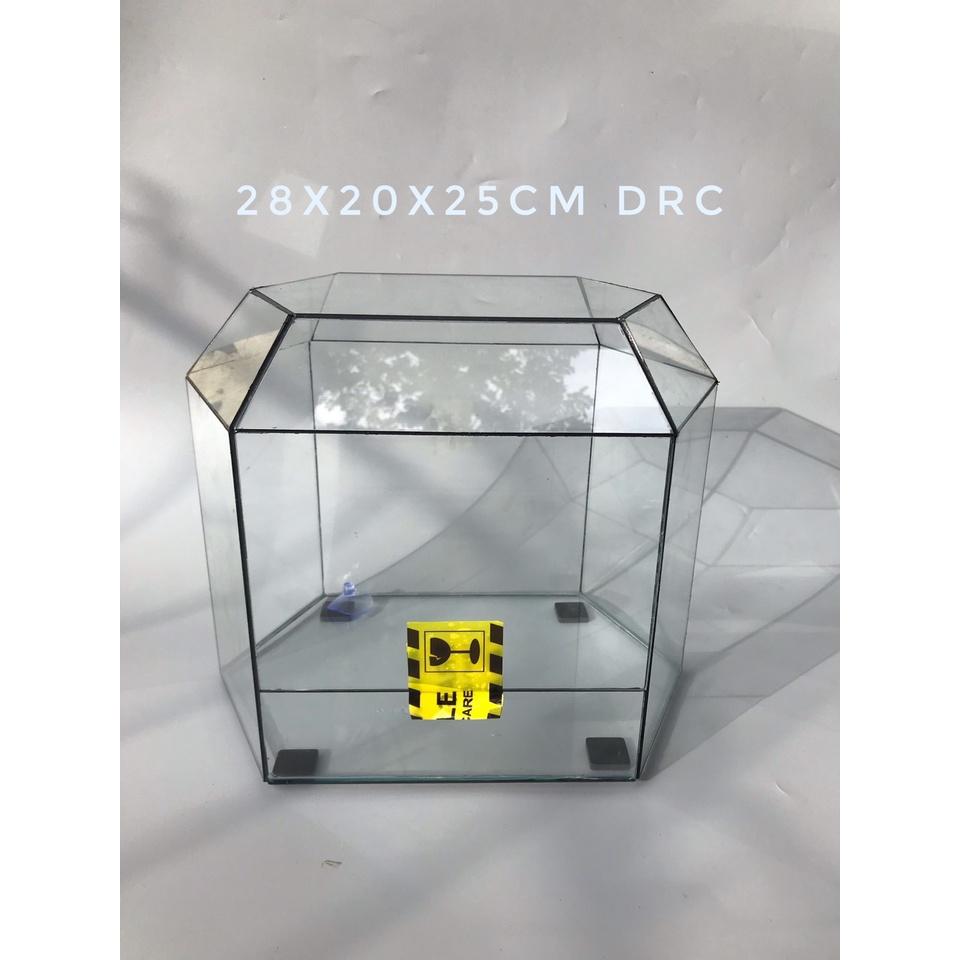 Bể Terrarium Đa Giác Setup Bán Cạn Để Bàn Làm Việc
