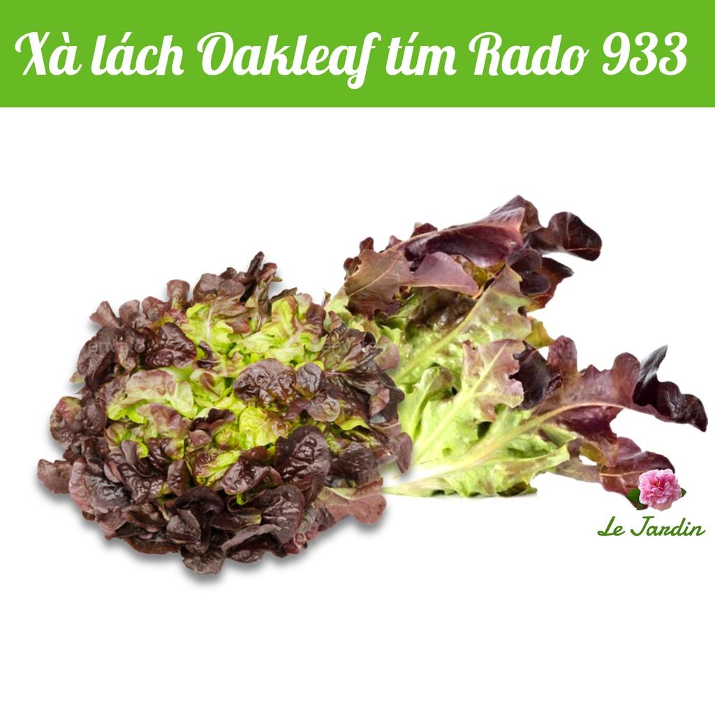 Hạt giống xà lách lá sồi tím Oakleaf 933 - Chịu nhiệt tốt