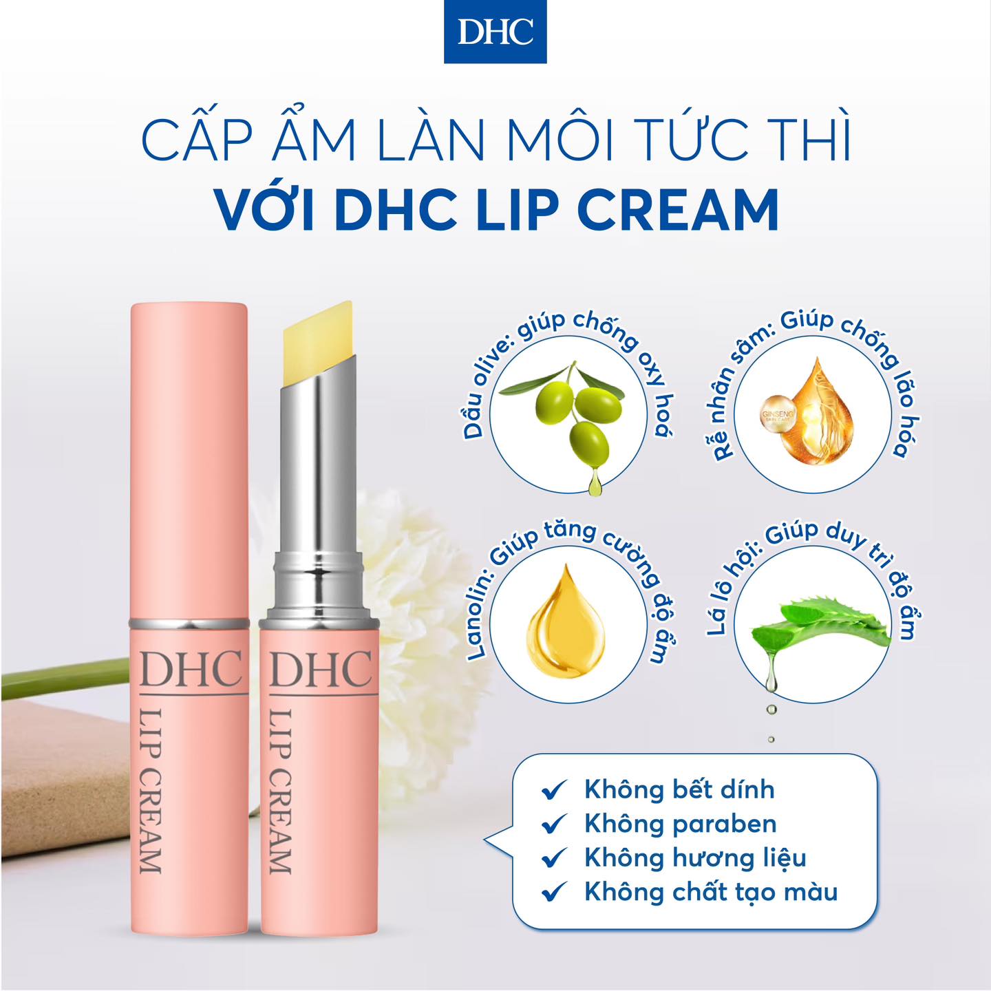 Son dưỡng môi mềm mọng DHC Lip Cream Nhật dưỡng môi khô, làm mặt nạ ngủ cho môi và son lót - Massel Official