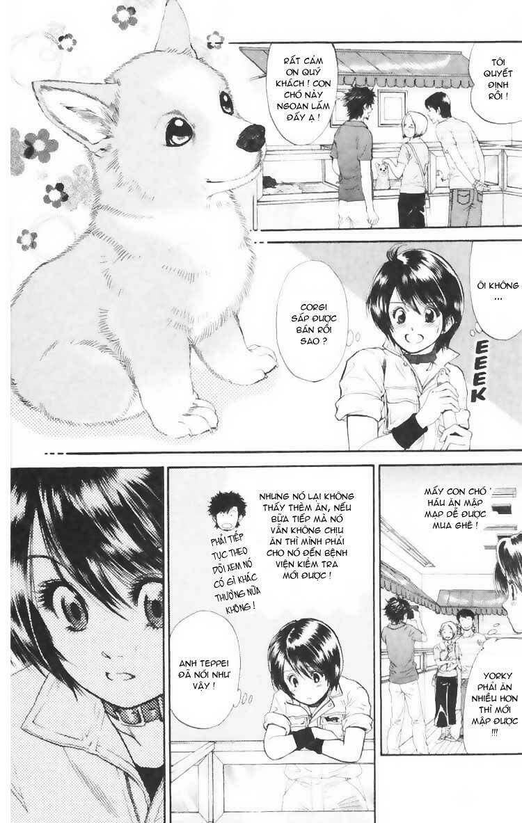 cô nàng yêu chó chapter 3 17