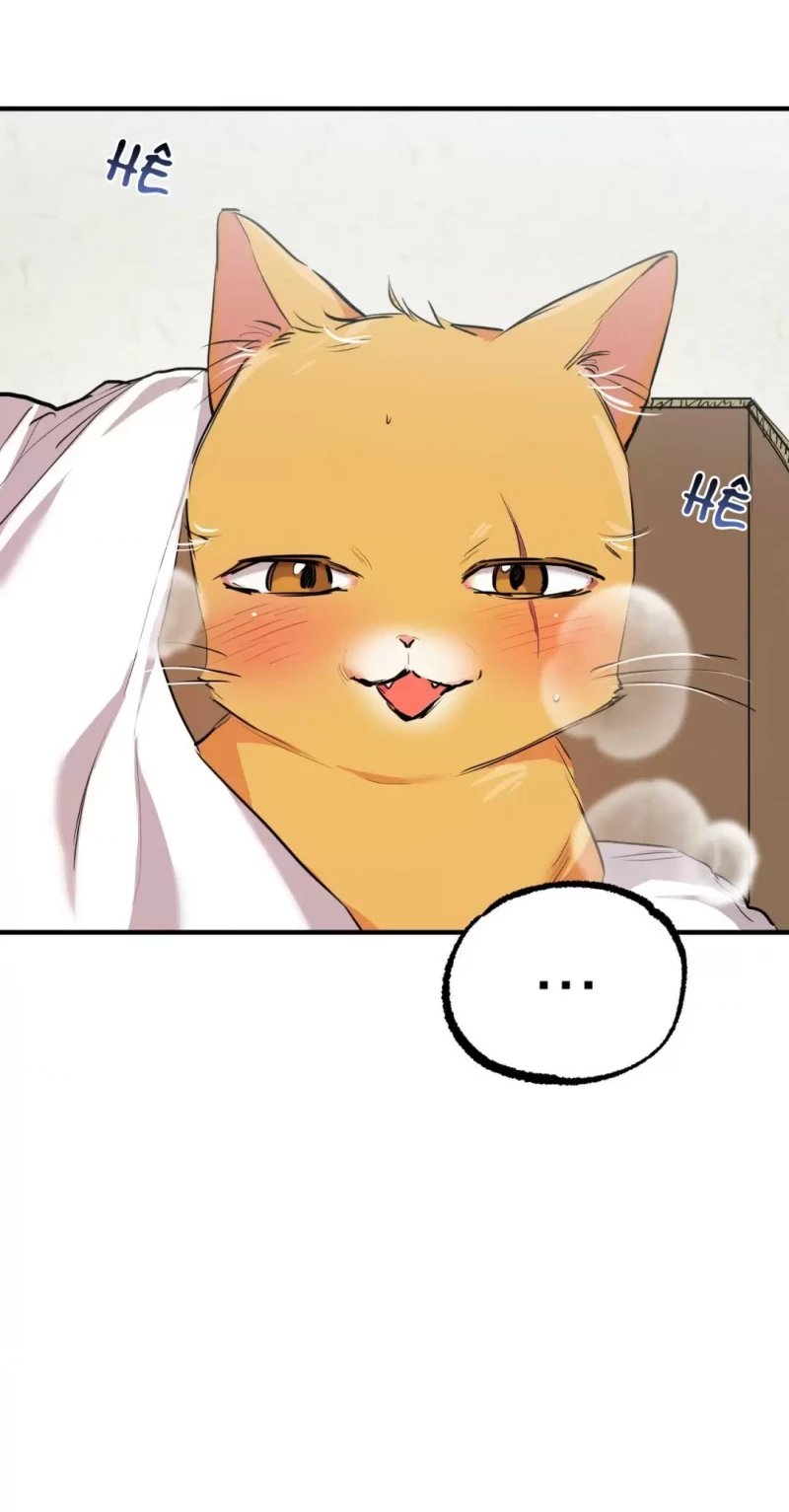 những chú thỏ của hapypy chapter 31.5 17