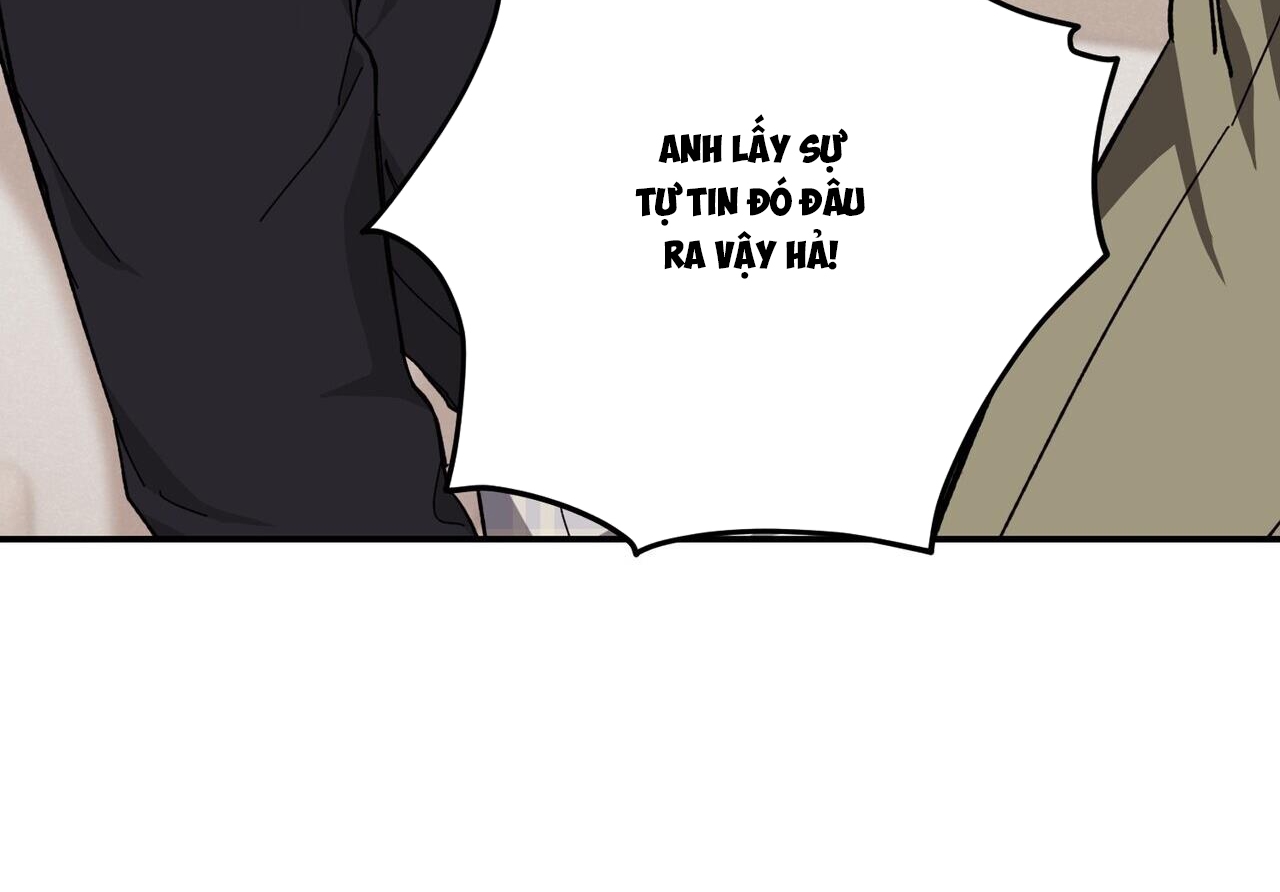 chàng dâu nhà họ kang chapter 33 157