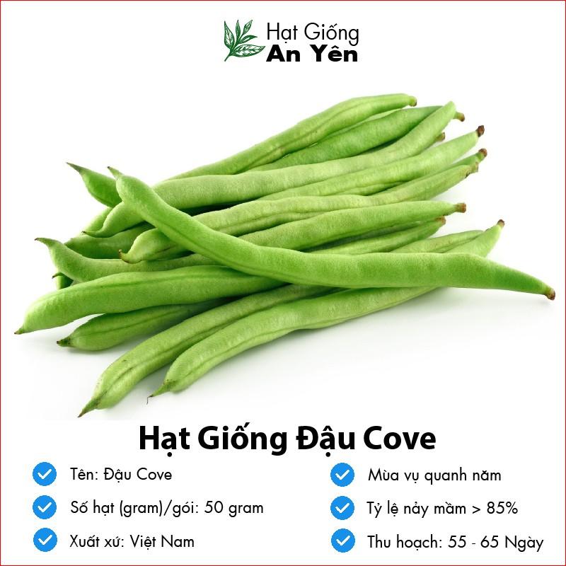 Hạt giống Đậu Cove F1 thu hoạch sớm, dễ trồng, nảy mầm cao, sinh trưởng khoẻ