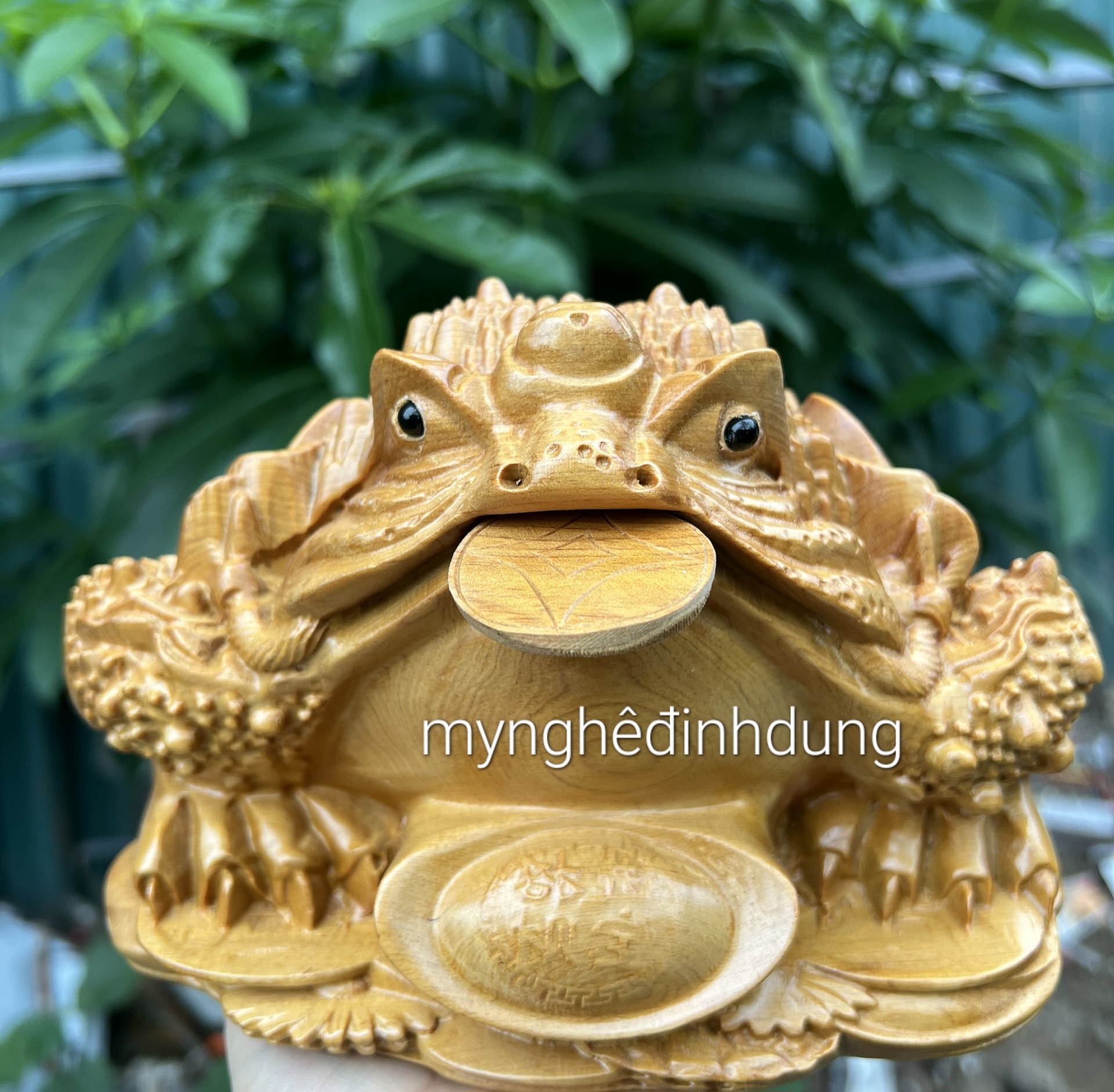 Thiềm thừ phong thủy cầu tài lộc bằng gỗ bách xanh thơm nức kt 20×12×13cm