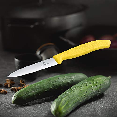 Dao bếp Victorinox Paring Knives (Pointed trip, 10cm) 6.7706.L118