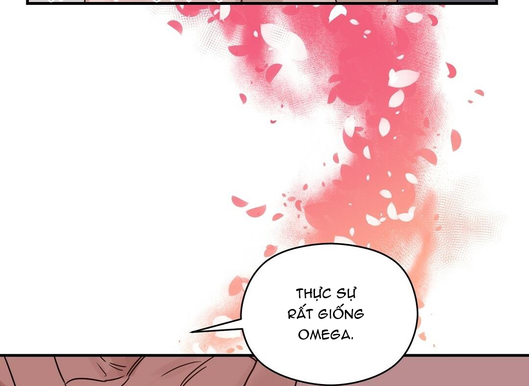 phức cảm tự ti của omega chapter 19 78