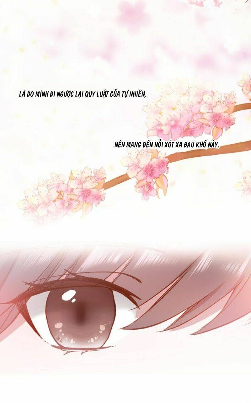 nhất sinh nhất thế mỹ nhân cốt chapter 14 21