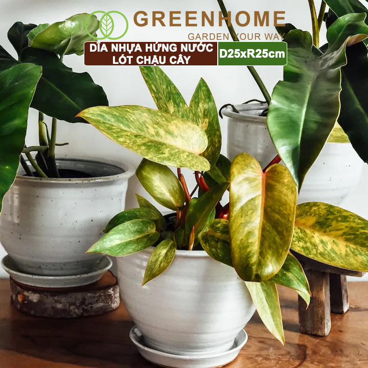 Dĩa nhựa lót chậu cây, nhựa nguyên sinh, bền, đẹp | Greenhome