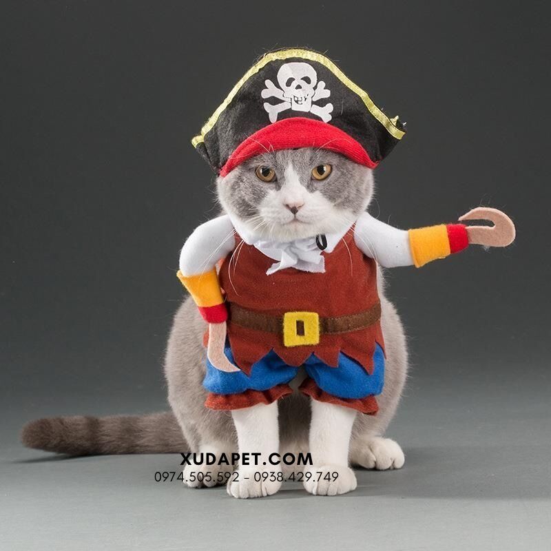 Áo Cosplay Caribe's Pirate Cho Chó mèo - SP006019Pirate