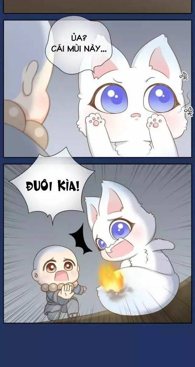 tiểu hồ ly vs tiểu hóa thượng chapter 67 8