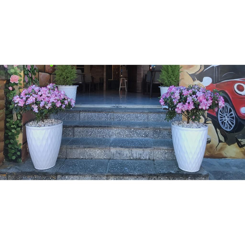 Chậu Nhựa Trồng Cây Mắt Lưới Tròn Giả Sứ Cao Cấp Trồng Cây Cảnh, Hoa Kiểng, Cây Văn Phòng - Hàng VNXK