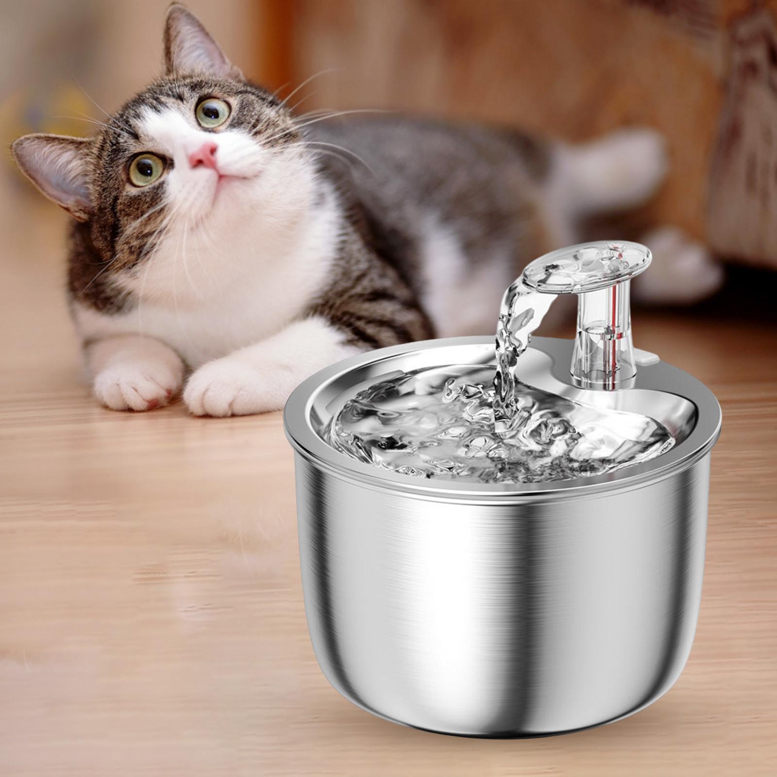 Dispenser with Water Feeder