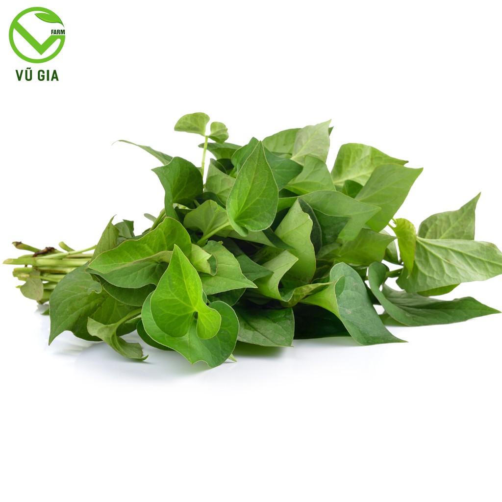 Bột Diếp Cá Sấy Lạnh Nguyên Chất Vũ Gia 50g + Tặng Chai Thủy Tinh Đựng Nước Ép Có Dây Treo 300ml