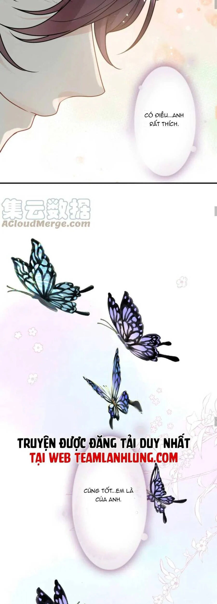 cô vợ hợp đồng bỏ trốn của tổng giám đốc chapter 479 14