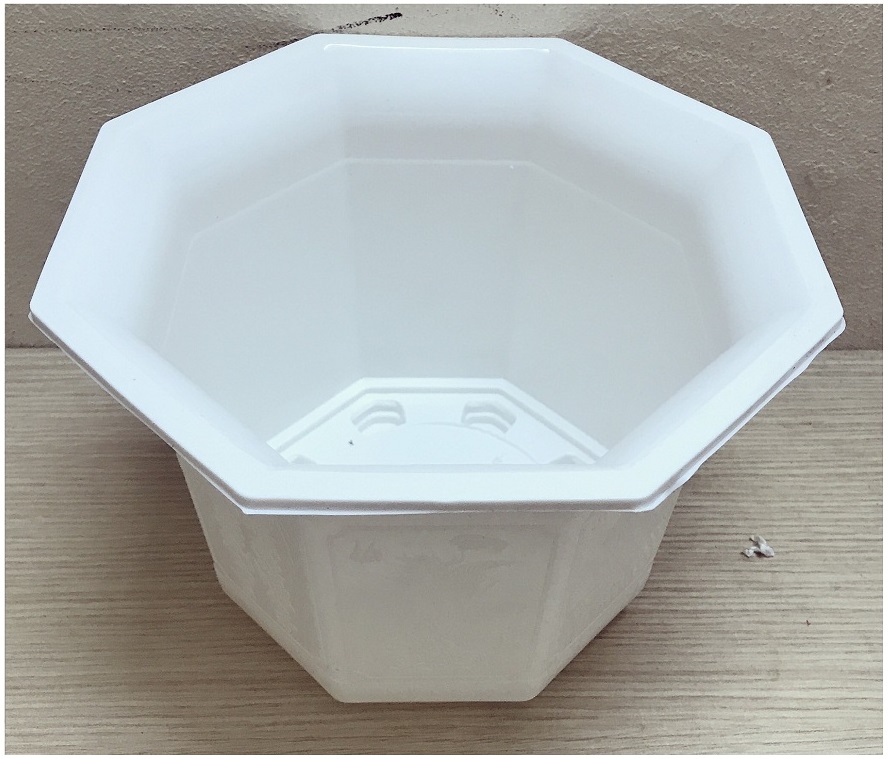 5 Chậu Nhựa Bát Giác 210x170 Màu Trắng