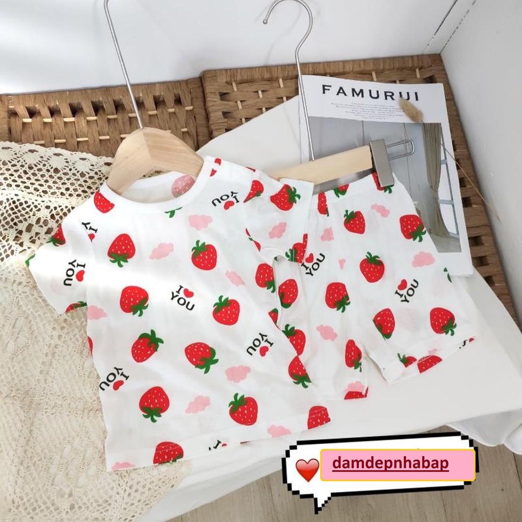 Quần áo trẻ em - Set bộ bé gái QC cotton sợi tre lưới cao cấp