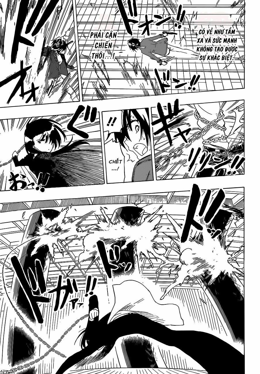 nisekoi - tình yêu giả tạo chapter 185 12
