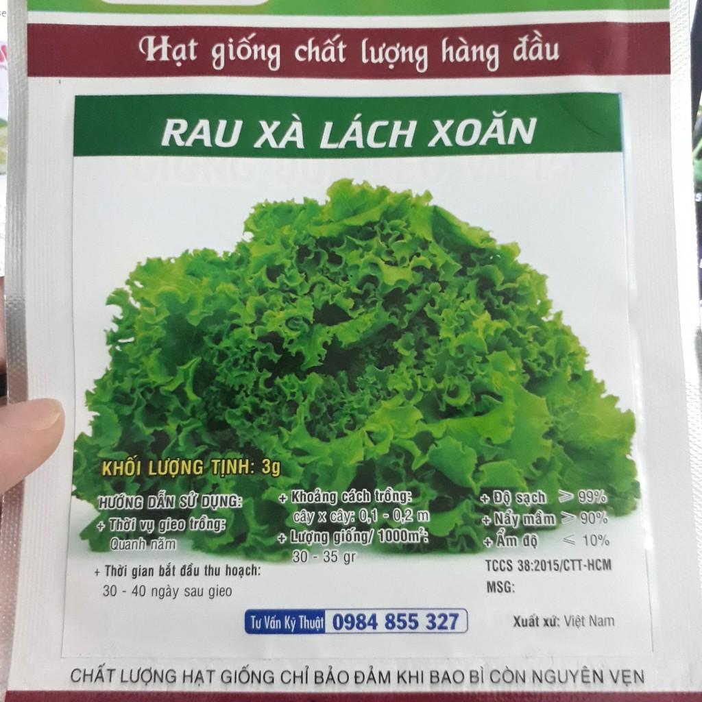 Hạt giống Xà lách xoăn xanh, đóng gói 3gr