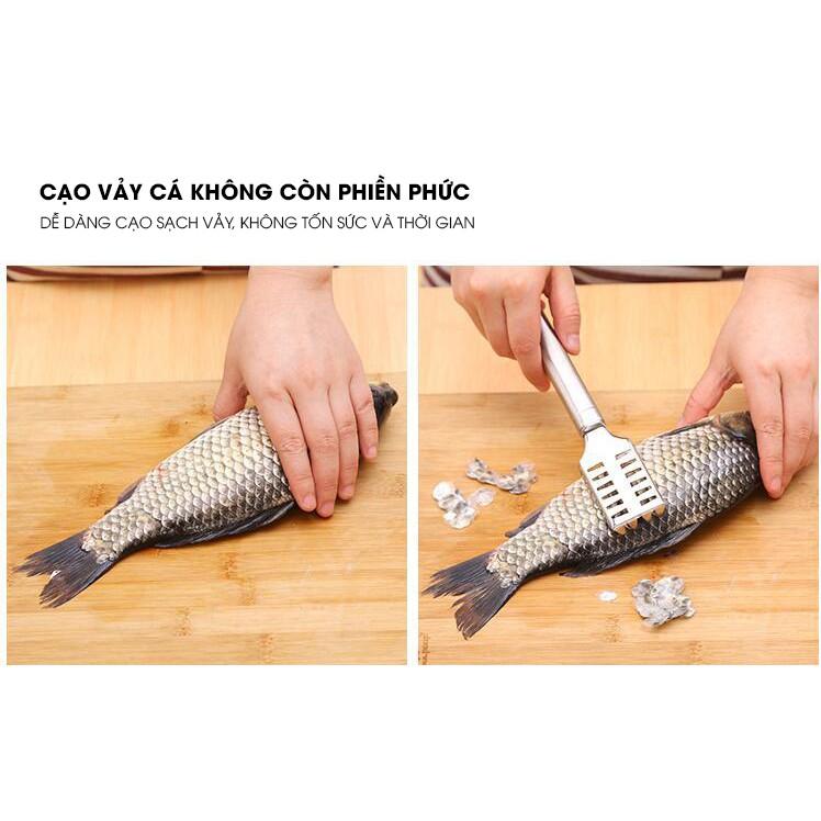 Dụng cụ cạo vảy cá Inox