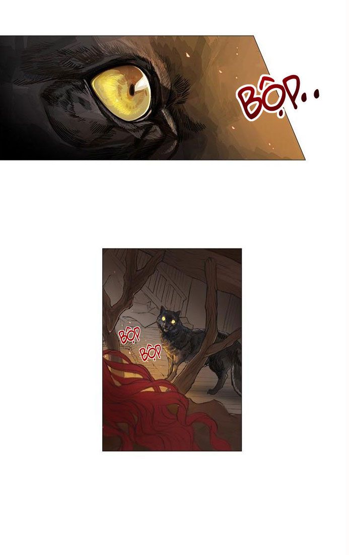 tôi chính là nhà sưu tập chim chapter 1 7