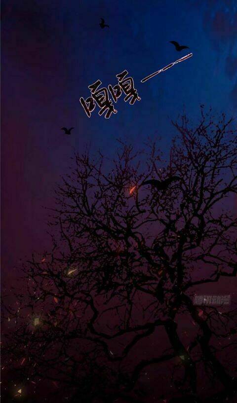 nghịch thiên độc y: long tôn cầu buông ra chapter 1 2