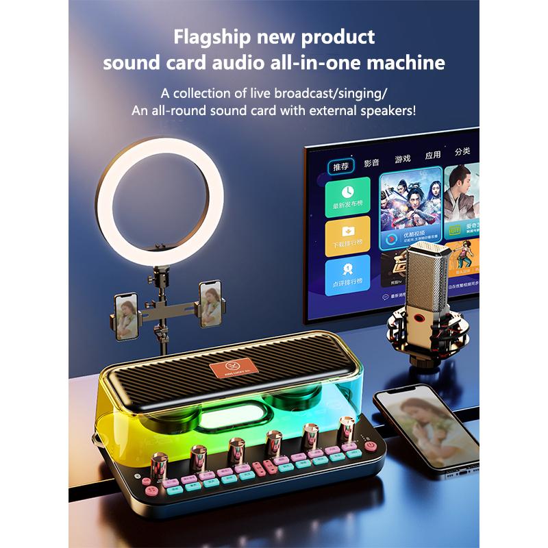 Loa bluetooth gợi cảm thiết bị phát sóng trực tiếp điện thoại di động máy tính trong nhà và ngoài trời Bluetooth ghi âm karaoke speake Màu sắc: card âm thanh đơn sắc