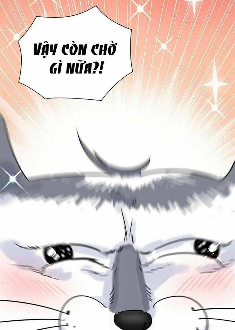 ứng cử viên hôn phu của ta chapter 0 15