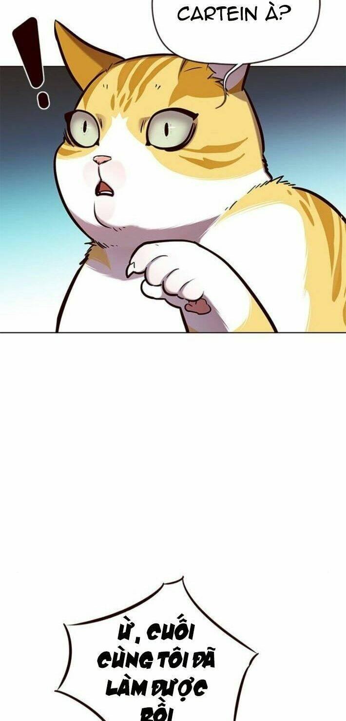 biến thân thành mèo chapter 141 63