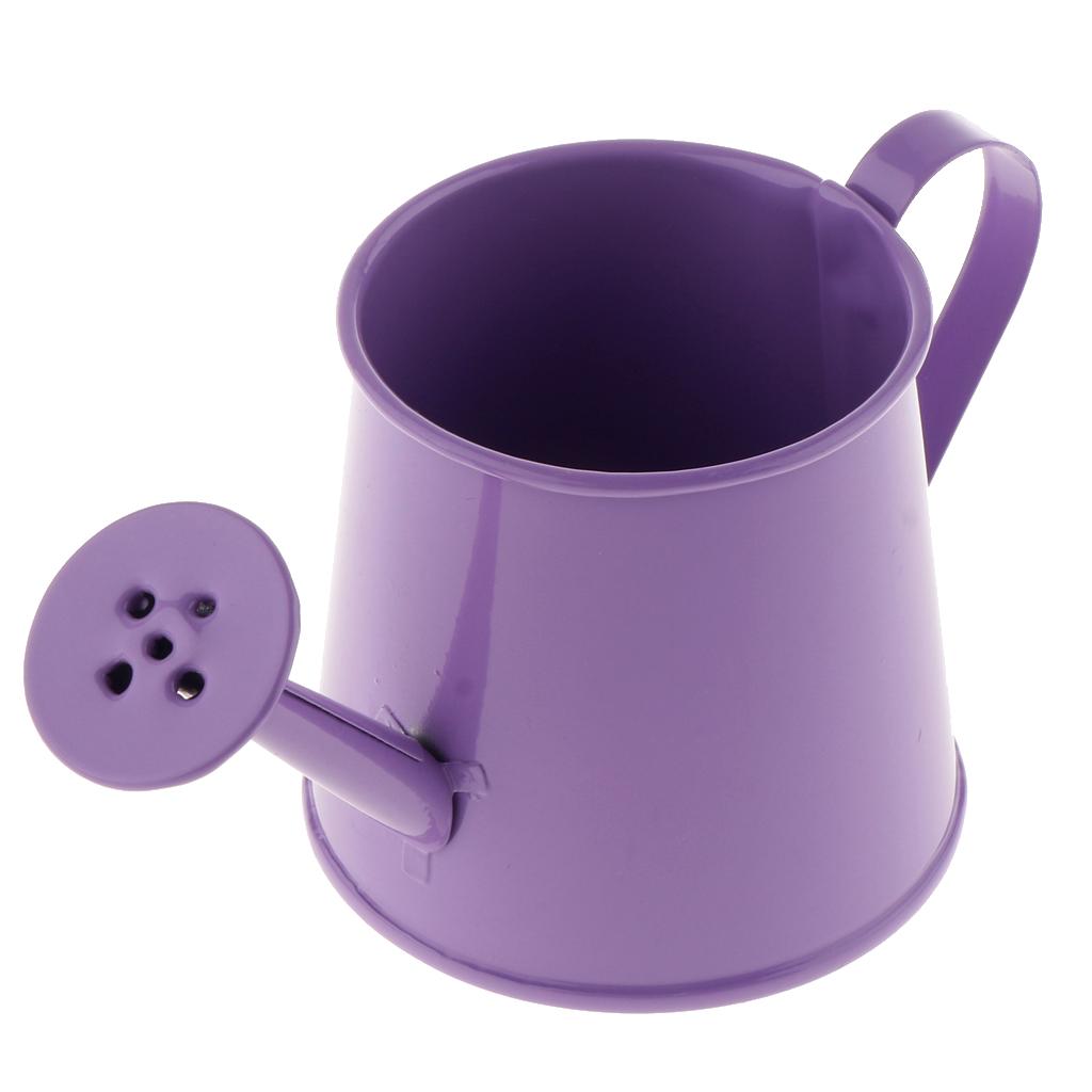3x Pastoral Style Flower Watering Can Water Pot Sprayer Kettle for Small Plants