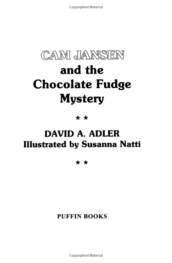 CAM Jansen: The Chocolate Fudge Mystery #14