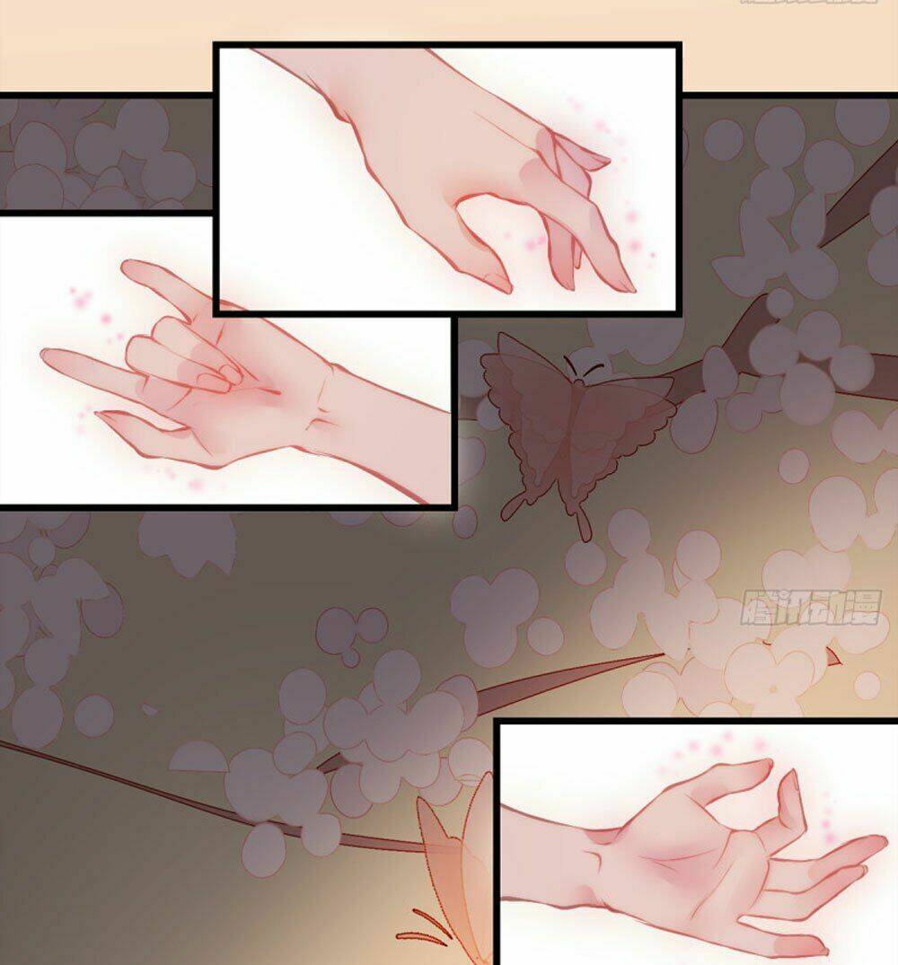 trẫm quyết định giải tán hậu cung chapter 6 6