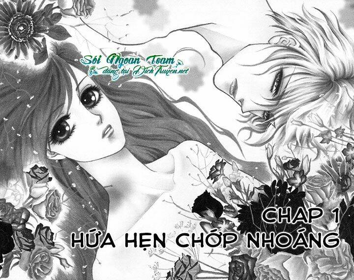 đóa hồng dành tặng seri chapter 1 5