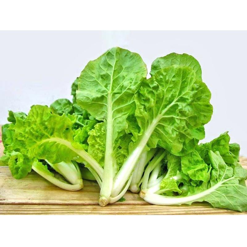 Hạt Giống Rau Cải Bẹ Dún KNS3409 - Gói 10gram