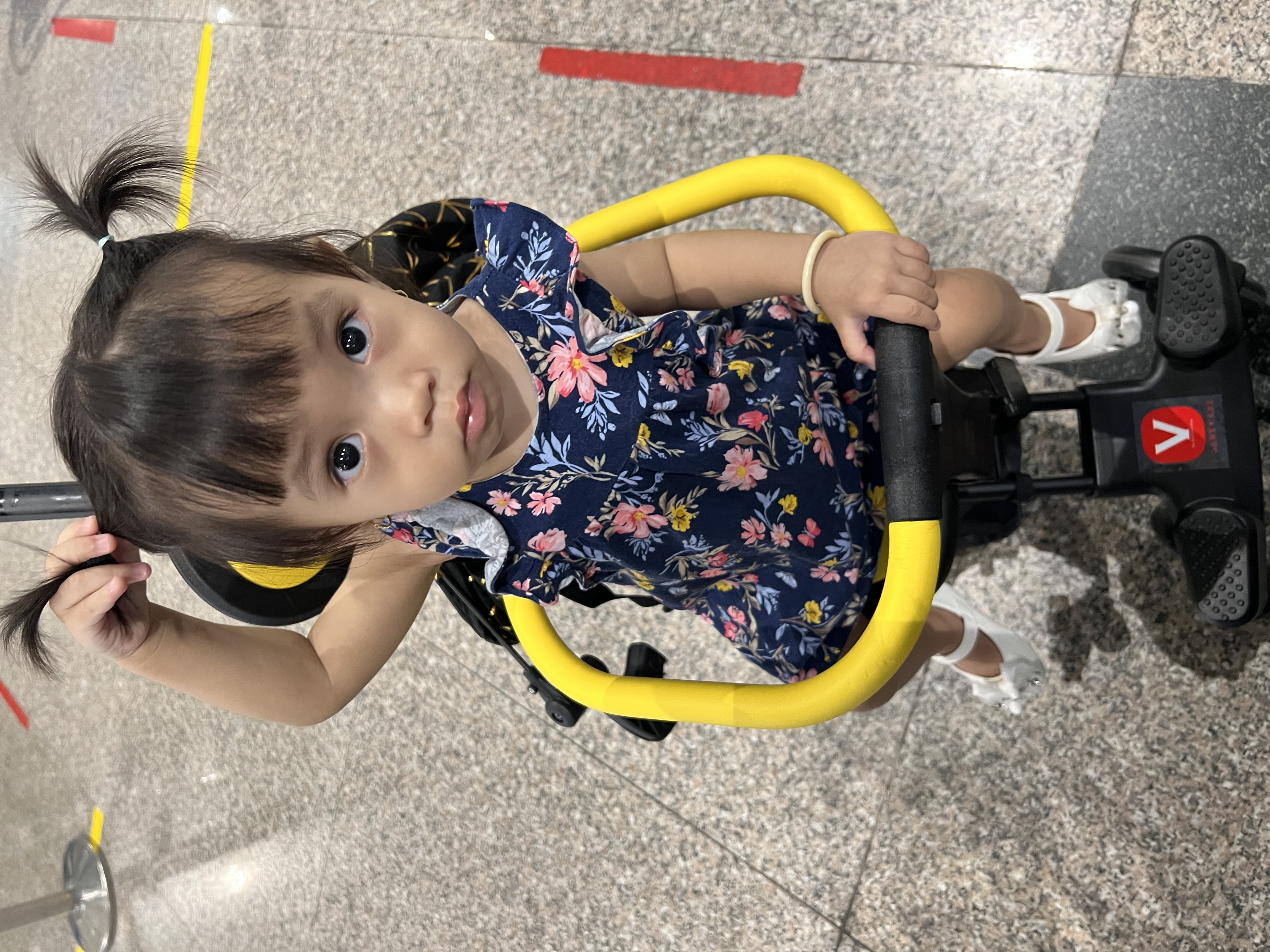 Tranh thêu chữ thập Hươu tài lộc thêu kín E88, kích thước 100 x 55 cm