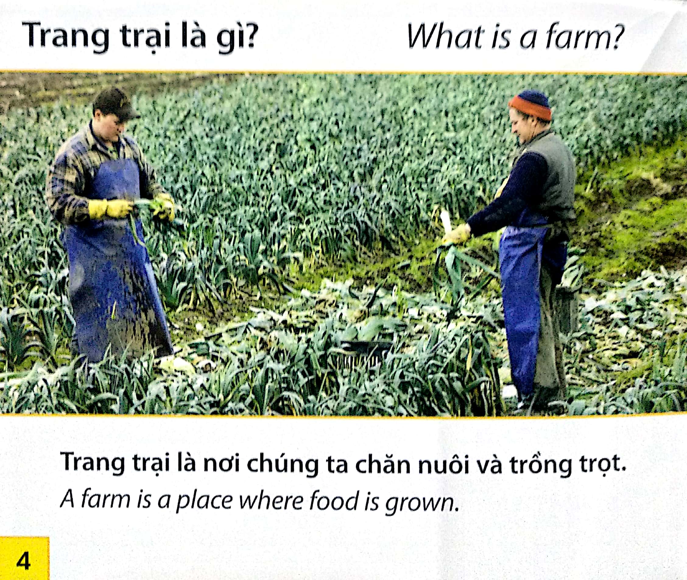 Thế Giới Trang Trại - Các Loài Cây Ở Trang Trại