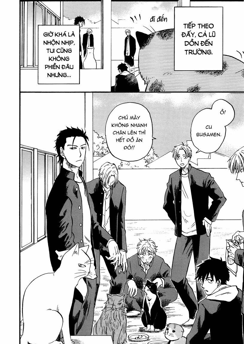 tui là busamen! chapter 8 14