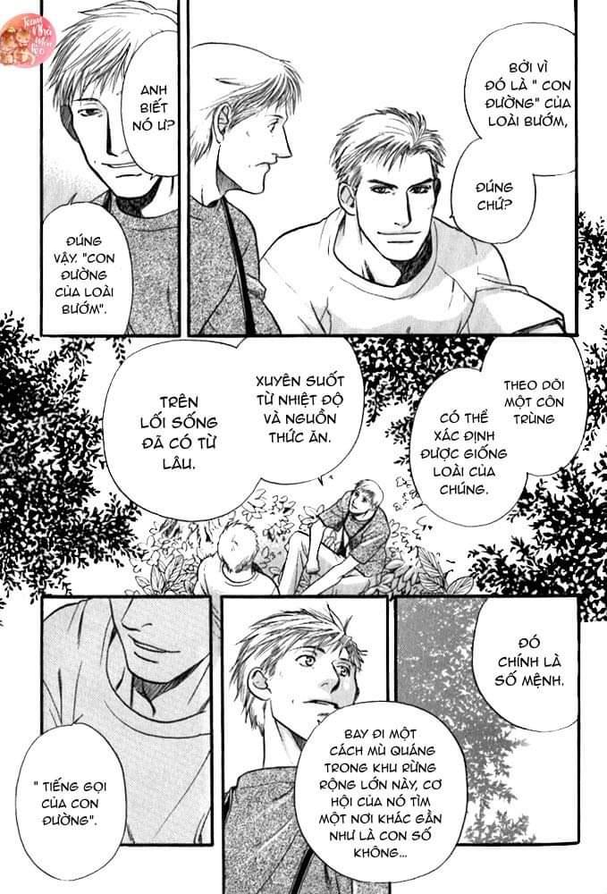 oneshot bl từ nhiều tác giả - mlèo dịch chapter 122 16