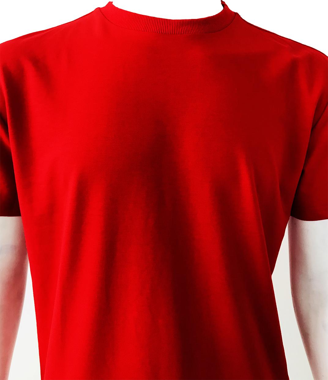 ÁO MEN'S T-SHIRT PONY - 4450080/81LXQ3